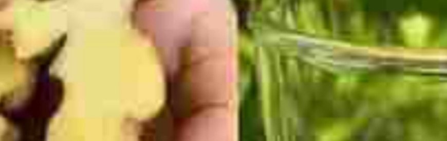 Chinese Doctor Replaced My 75 Year Old Grandmother