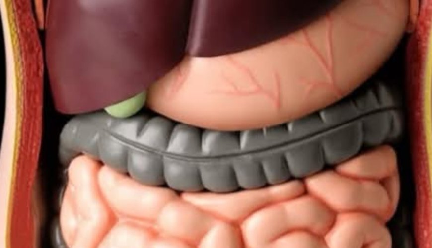 Cleanse Your Liver, Kidneys, and Intestines in Just 3 Days with This Natural Detox Drink