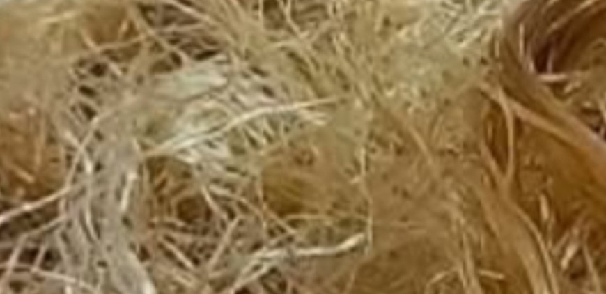 Corn Silk: 30 Impressive Health Benefits And How To Use It Naturally