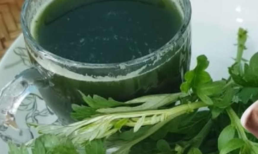 Bienfaits de l’absinthe pour les articulations, le goût, la respiration, la digestion, la peau et les plaies