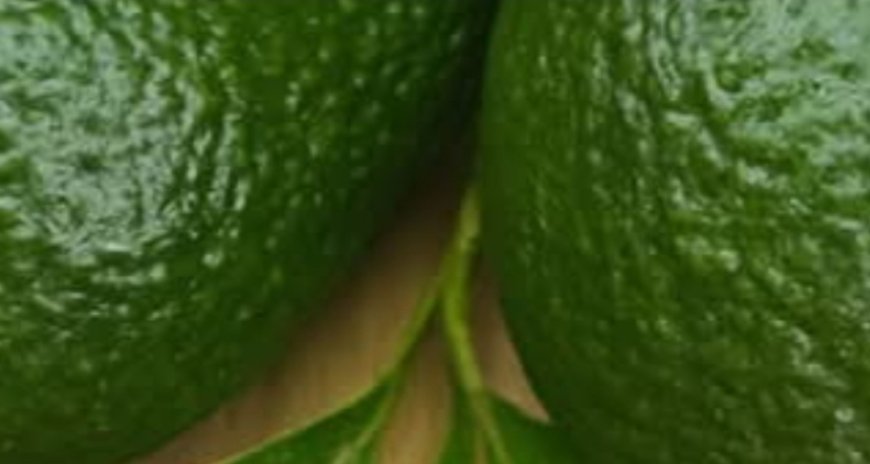 Healing Leaves That Support Your Wellness Naturally (No Harsh Meds Needed)