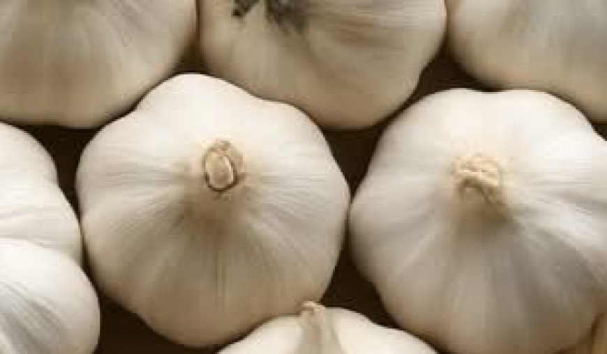 Un remède puissant pour nettoyer les poumons et les sinus.