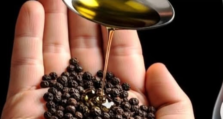Old Doctors’ Secret: Mix Olive Oil + Black Pepper to Fix 11 Problems After 60 — See Results in 1 Week