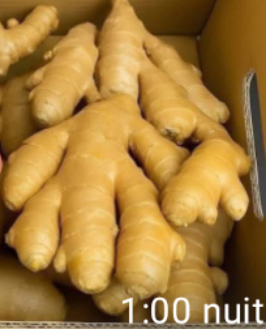 Parsley Made Me Look 20 Years Younger