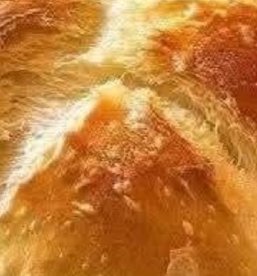 The Bread That Drives Everyone Crazy: No-Knead Garlic Bread Recipe