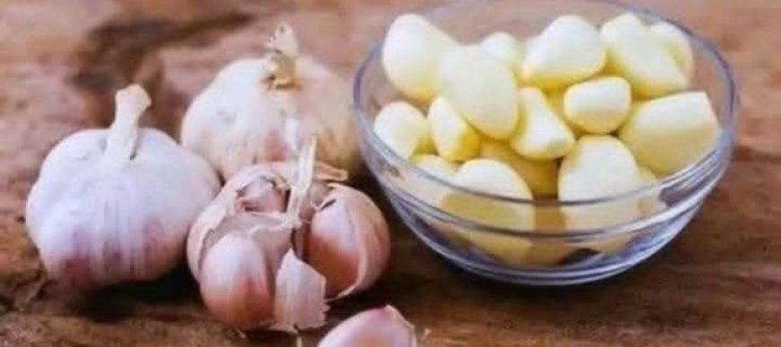 GARLIC KILLS 14 TYPES OF BACTERIA AND 13 TYPES OF INFECTIONS